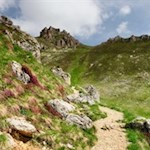 Der letzte Teil des Weges führt auf schmalen Pfaden zur Rotwandhütte