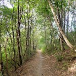 Herbstwanderung bei Brixen