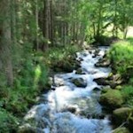 Schalderer Bach nahe der Kneipp-Anlage