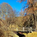 Im sanften Anstieg durch Wald und Wiesen