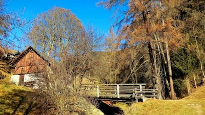 Im sanften Anstieg durch Wald und Wiesen