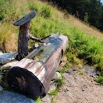 Erfrischende Abkühlung auf dem Weg zur Platte
