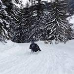 Abfahrt-auf-der-Haunold-Rodelbahn