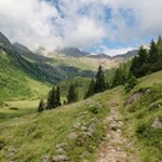 Die sanft ansteigenden Wege zur Furtalm sind ideal für Ausflüge mit der ganzen Familie