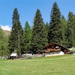 Nur mehr wenige Schritte trennen uns von der Kradorfer Alm