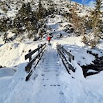 Bei der Holzbrücke zweigt der Wanderweg rechts ab