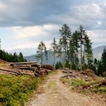 Auf dem Weg zur Welschellener Alm
