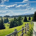 Den sanft gewellten Almwiesen der Rodenecker Alm wohnt ein besonderer Zauber inne