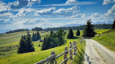 Den sanft gewellten Almwiesen der Rodenecker Alm wohnt ein besonderer Zauber inne