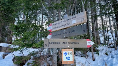 Auf dem Weg Nr. 13 in Richtung Latemarwiesen