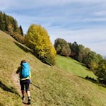 Durch herbstbunte Wiesen und Wälder zum Kofler am Kofl