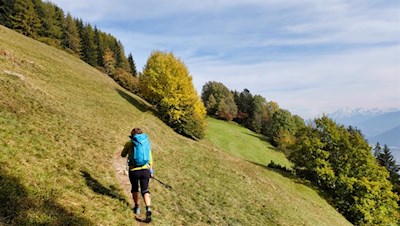 Durch herbstbunte Wiesen und Wälder zum Kofler am Kofl
