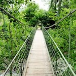 Über eine Hängebrücke nach Partschins