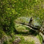 Auf dem Bergbauernweg