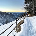 Auf dem Steig Nr. 3 zum nahen Elisabeth Denkmal