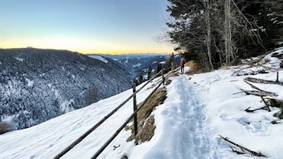 Auf dem Steig Nr. 3 zum nahen Elisabeth Denkmal