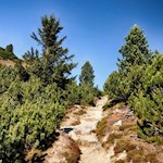 Auf schmalen Pfaden in Richtung Hochalmen