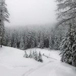 Spilucker Schneegestöber