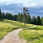 Wandern vom Jochgrimm zur Neuhütt Alm