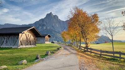 Vor der Kulisse des Schlern nach St. Valentin