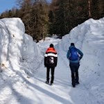 Hohe Schneemassen haben sich seitlich des Weges aufgetürmt