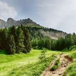 Zu Füßen des Rosengarten