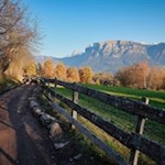 Blick-auf-den-Schlern-die-Hammerwand-und-den-Tschafon