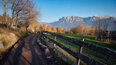 Blick auf den Schlern, die Hammerwand und den Tschafon