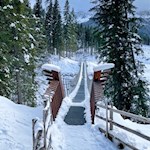 Hängebrücke Karersee
