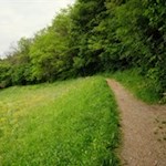 Sanft schlängelt sich die Karlspromenade den Waldsaum entlang