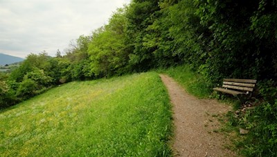 Sanft schlängelt sich die Karlspromenade den Waldsaum entlang
