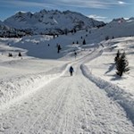 „Wie herrlich leuchtet mir die Natur! Wie glänzt die Sonne! Wie lacht die Flur!“ (J. W. von Goethe)