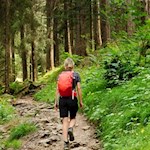 Anstieg auf dem Geologensteig