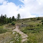 Der letzte Anstieg auf die Geige