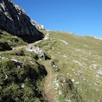 Schließlich vereinen sich die beiden Pfade wieder zu einem