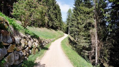 Sanft windet sich der Wanderweg durch den Wald