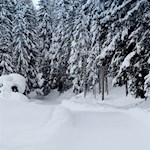 Winterwandern bei Innichen