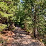 Auf dem Weg Nr. 1 zur Tarscher Alm