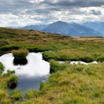 Am Rinnersattel stoßen wir auf einzelne Tümpel