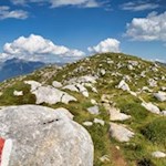 Die letzten Meter zum Gipfelkreuz des Mareiter Stein
