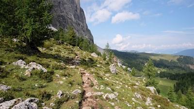 Der Weg Nr. 526 schlängelt sich in unmittelbarer Felsnähe zur Langkofelhütte