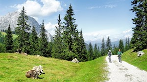 E-Bike-MTB-Tour-Sexten-Rotwandwiesen