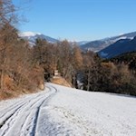 Wanderung zur St. Verena Kirche
