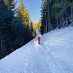 Durch den lichten Wald zum Karersee