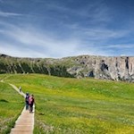 Von der Laurinhütte führt ein Wiesenpfad zum Weg Nr. 5B