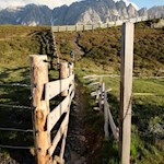 Abstieg auf den tiefer liegenden Wanderweg