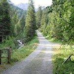 Zunächst wandert man im sanften Anstieg durch den Wald