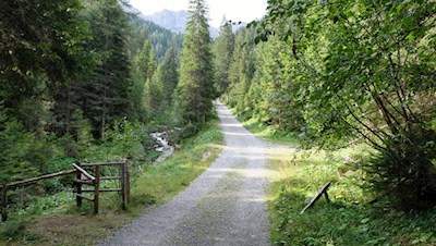 Zunächst wandert man im sanften Anstieg durch den Wald