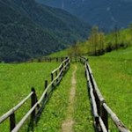 Der Bergbauernweg führt durch sattgrüne Wiesen