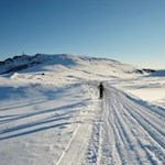 Durch die stille Natur auf das Rittner Horn 